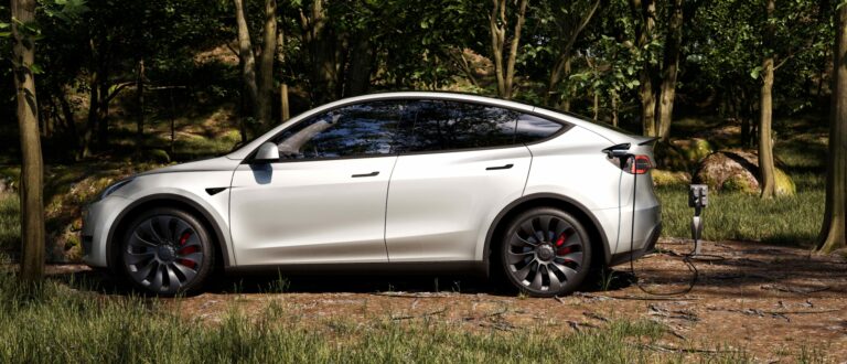 Telsla Model Y