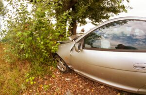 Botsing tegen een auto door aanrijding met een dier