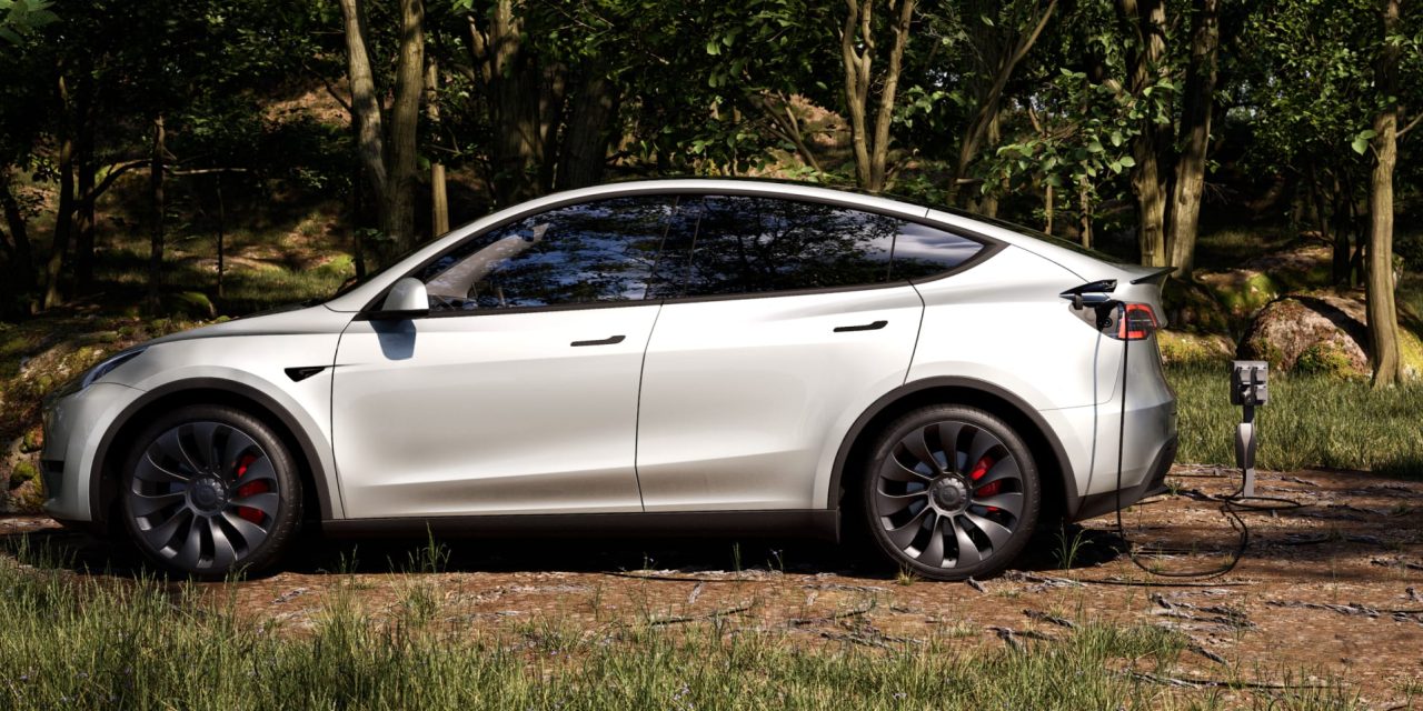 Telsla Model Y